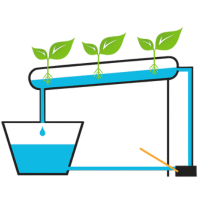 Entender como funciona a hidroponia