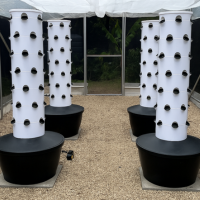 Construir sua estrutura